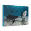 No Frame Print on Canvas-1247011832