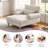 Jazier Upholstered Chaise Lounge with Adjustable Backrest-911452898