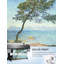 «The Esterel Mountains 1888 on Canvas» par Claude Monet, reproduction-910612447-910612441