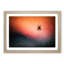 Spiders Web in Abstract - Framed Print-55726221-55726225