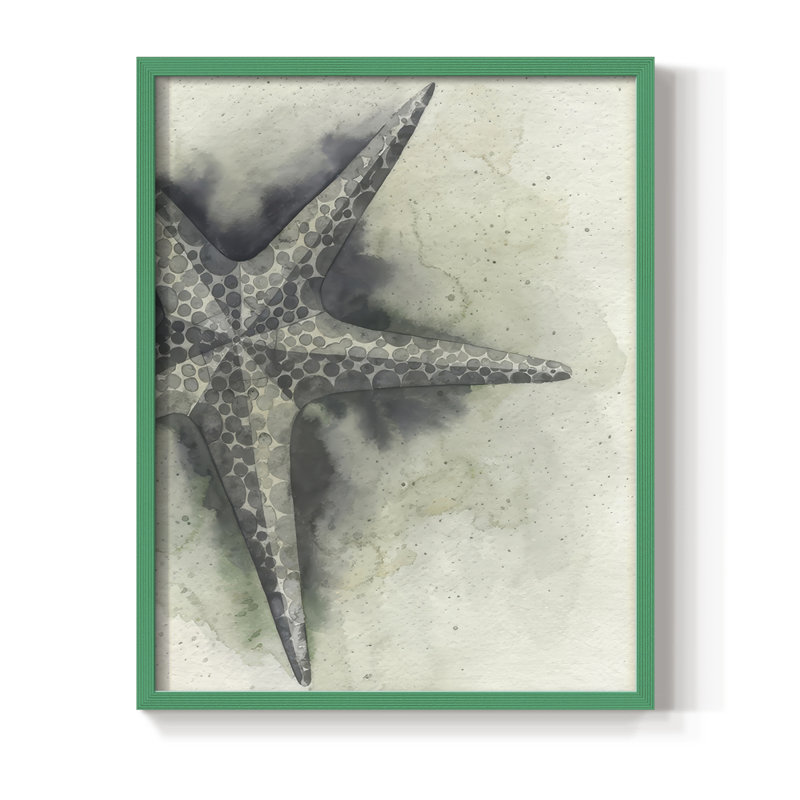 «Found Starfish I», reproduction encadrée - bois massif, Vert, H 15 po x l 12 po
