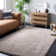 Assar Handmade Tufted Taupe Area Rug