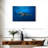 Brampt Whale Shark In The Blue-108135098