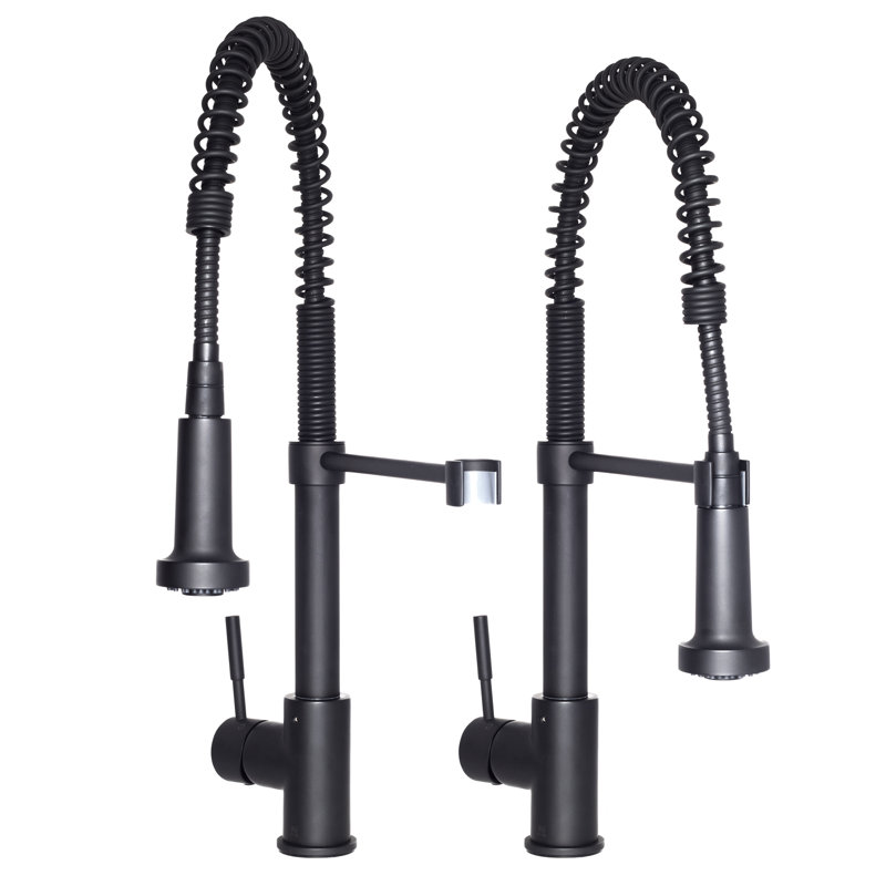 Apollo Pull Down Single Handle Kitchen Faucet with Side Spray and Accessories, Matte Black