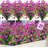Mixed Assortment Arrangement-1616388580