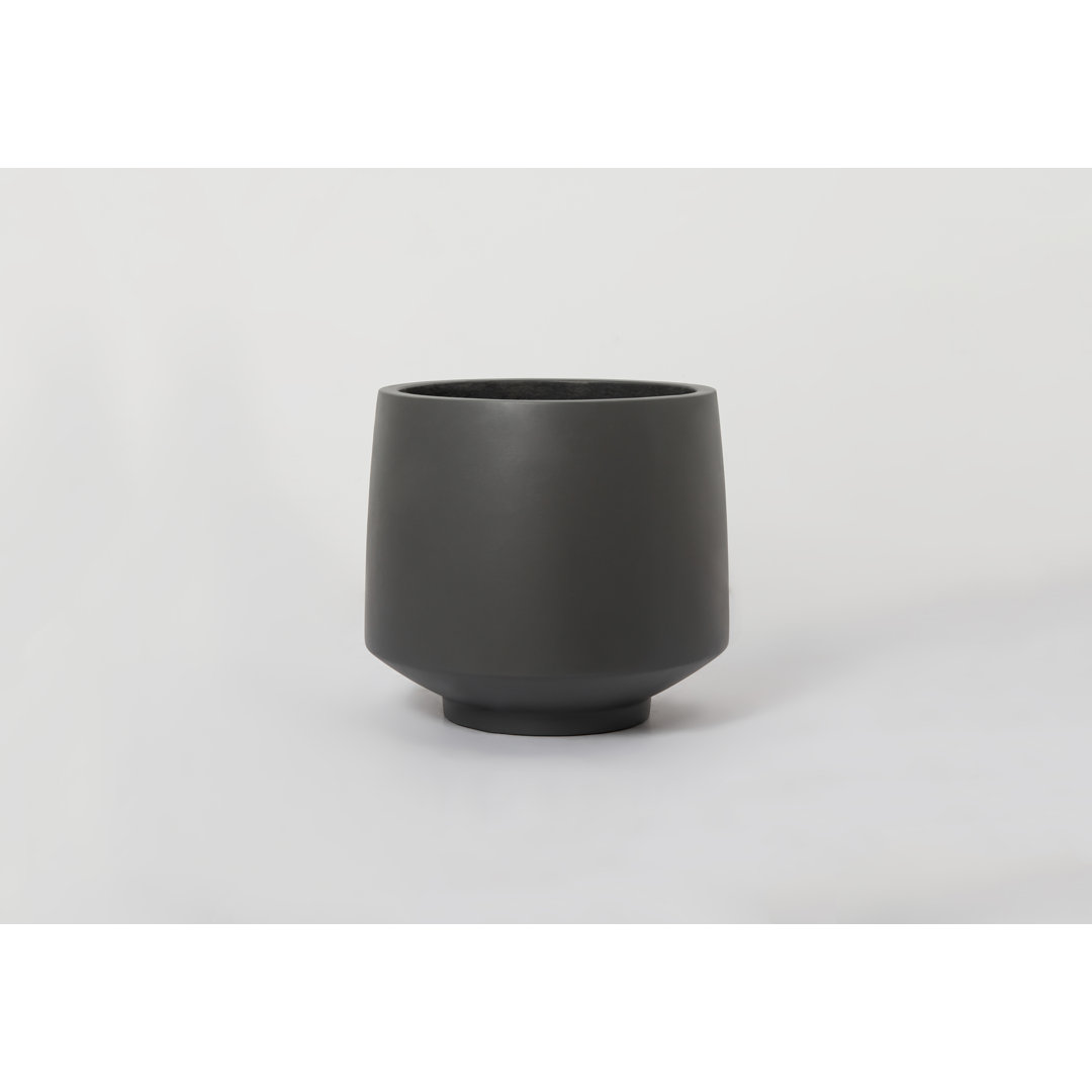 Finnuala Cement Pot Planter Ebern Designs 