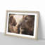 Lion Cub with Its Mother - Picture Frame Painting Print-56632883-56632880