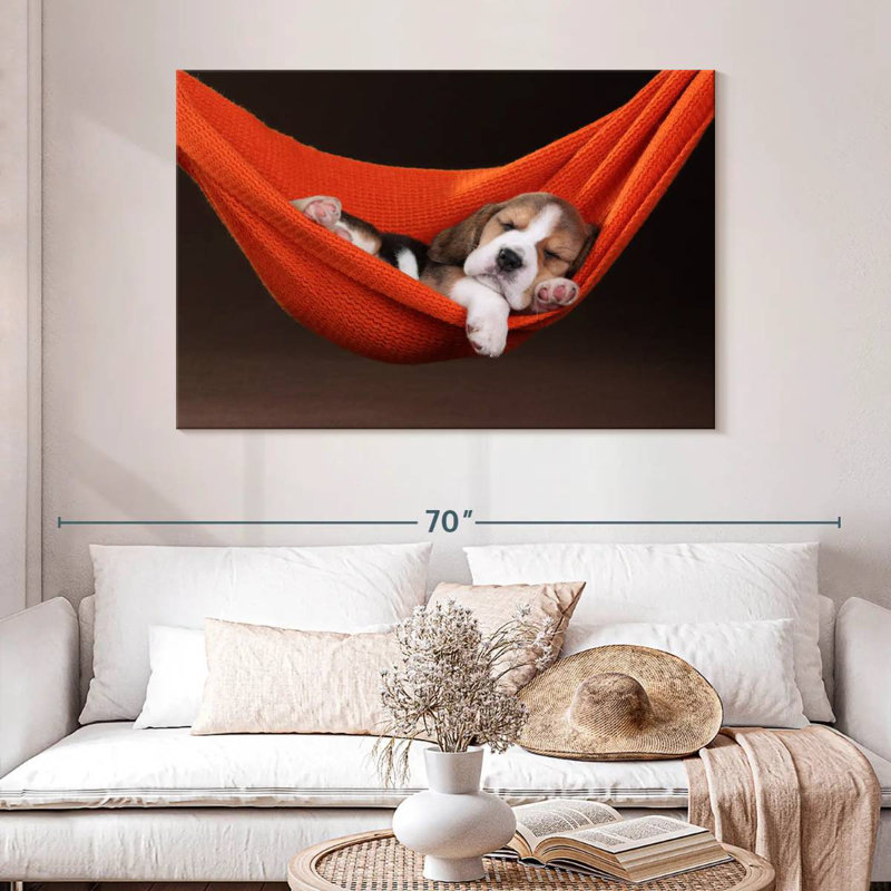 Beagle Brampt dans un hamac, H 32 po x l 48 po