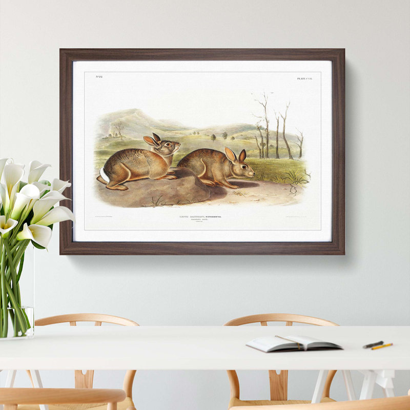 Bachmans Hares by J.W. Audubon - Picture Frame Painting Print, Walnut Framed, 27cm H x 36cm W x 2cm D