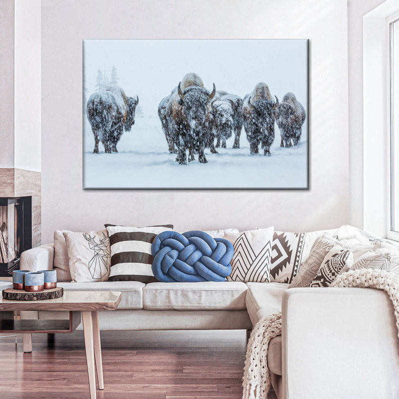 Bison and Buffalo Bison In Yellowstone National Park sur impression sur toile, H 24 po x l 36 po x P 1,25 po