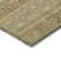 Machine Washable Indoor/Outdoor Claudian ACN1644 Aloe Rug