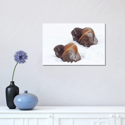 Sleeping Bison 1 Piece Wrapped Canvas Wall Art