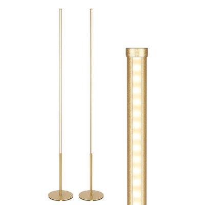 2 Pack 147cm Modern LED Floor Lamp