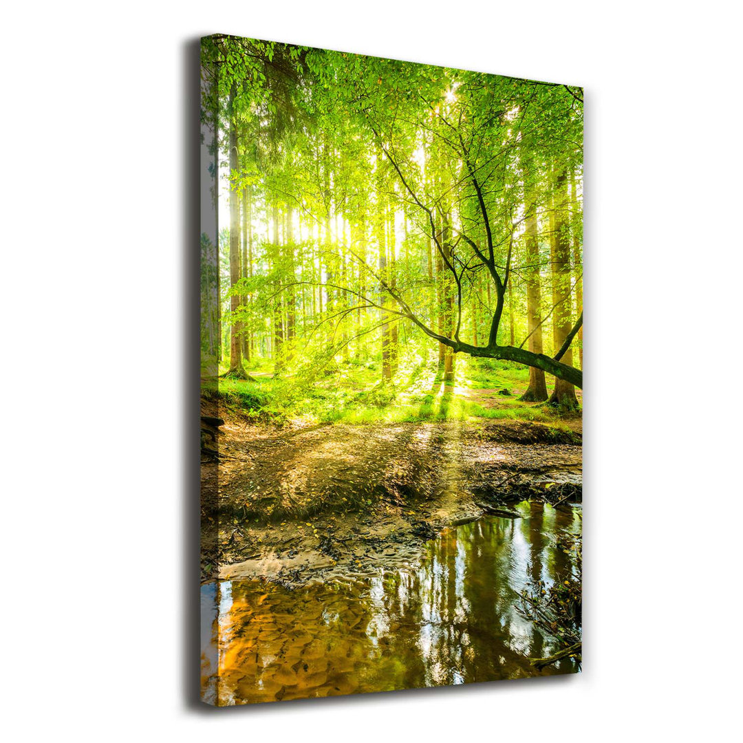 Stream in the Forest - Kunstdrucke auf Leinwand