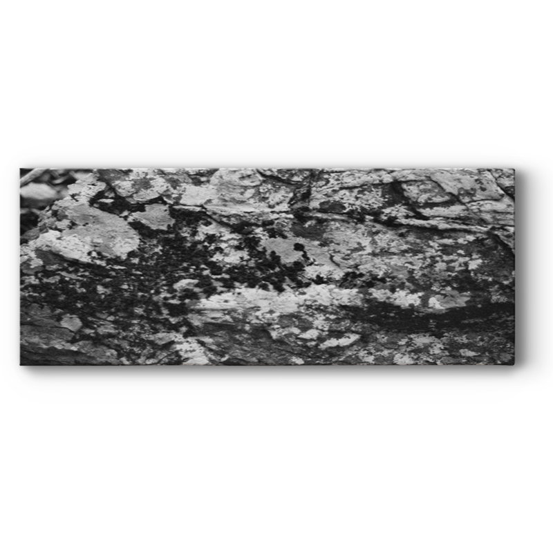Found Textures Xx sur toile, H 20 po x l 50 po x P 1,5 po