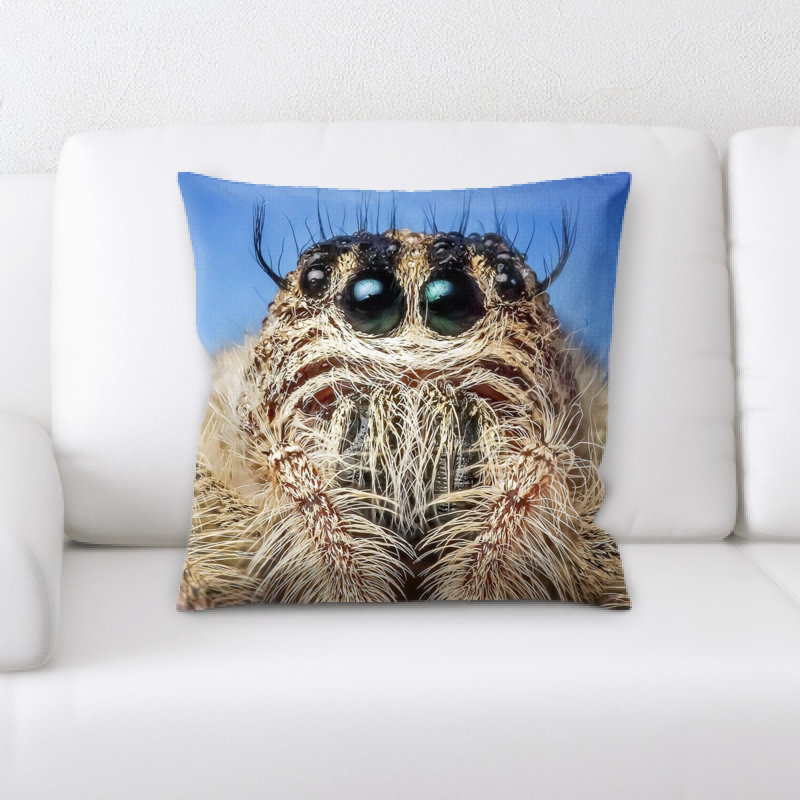 Coussin de spider saut