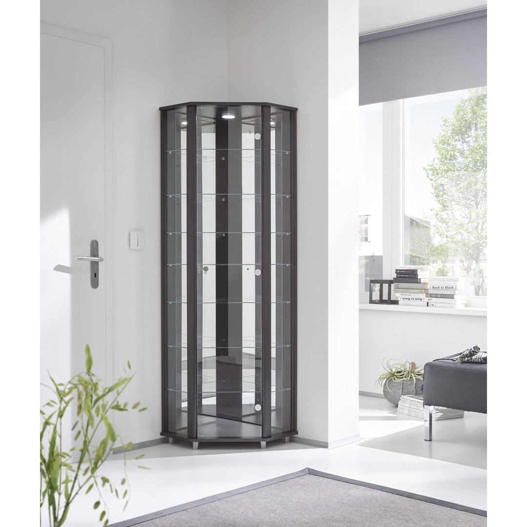 Frankmut Corner Curio Cabinet with Lighting