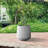 Laihla Pot Planter-1171178247-1171178246