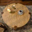 Table basse ronde avec tablette de rangement