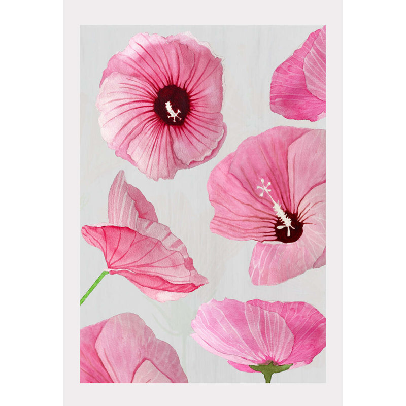 Rose rose de Sharon sur taupe - impression sans cadre, H 22 po x l 17 po