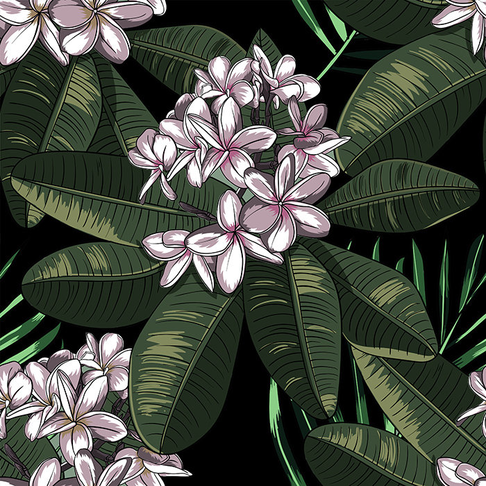 Calab Matte Wallpaper Roll, 250 x 250cm