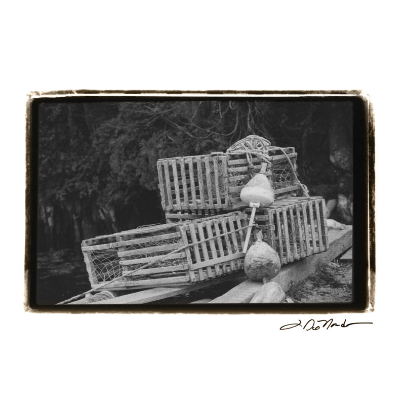 Trapped by Laura DeNardo - Wrapped Canvas Print, 30cm H x 46cm W x 3.8cm D