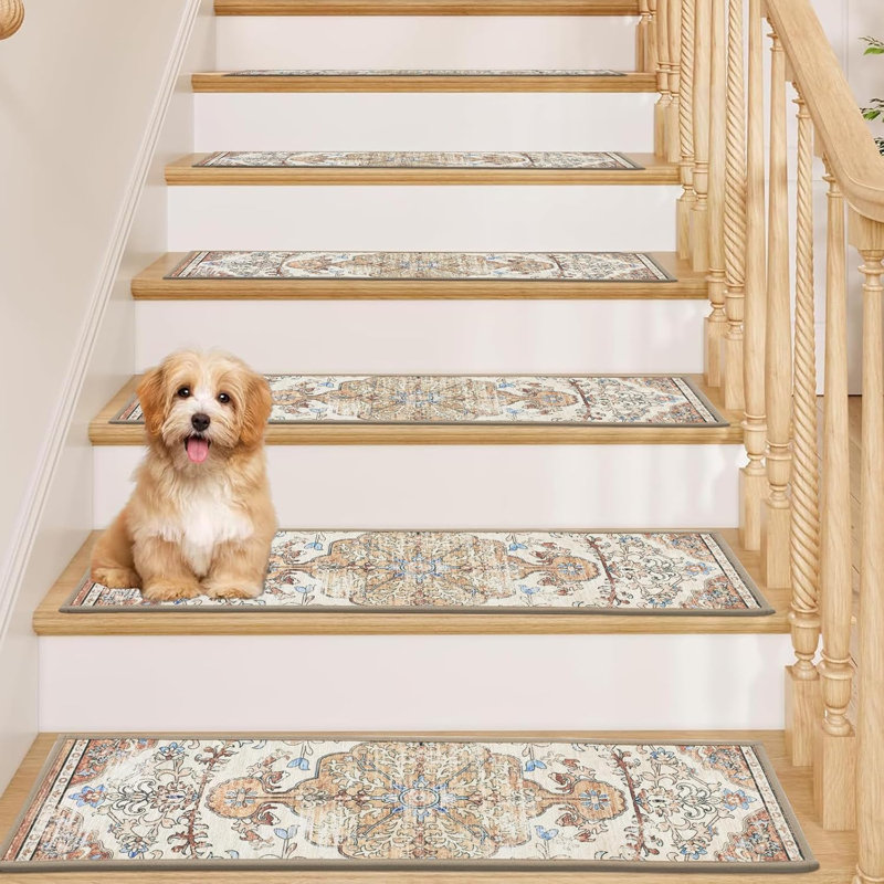 Marches en bois, tapis, marches d'escalier