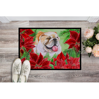 Non-Slip Outdoor Doormat