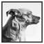 Furry Friend 1 Print by Pearson, Victoria-459615911-459615910
