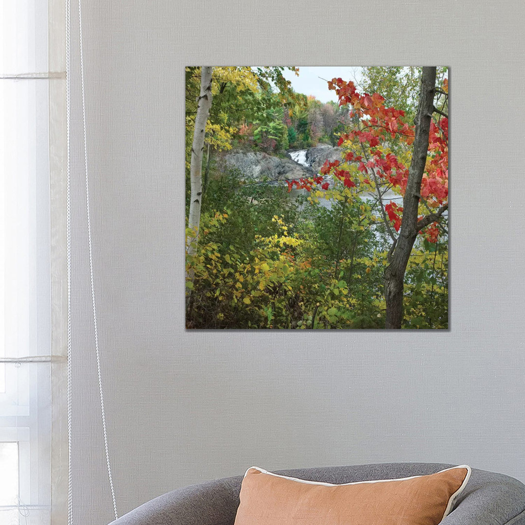 Chutes Provincial Park, Ontario, Kanada I von Tim Fitzharris - Galerie-verpackte Leinwand Giclée auf Leinwand