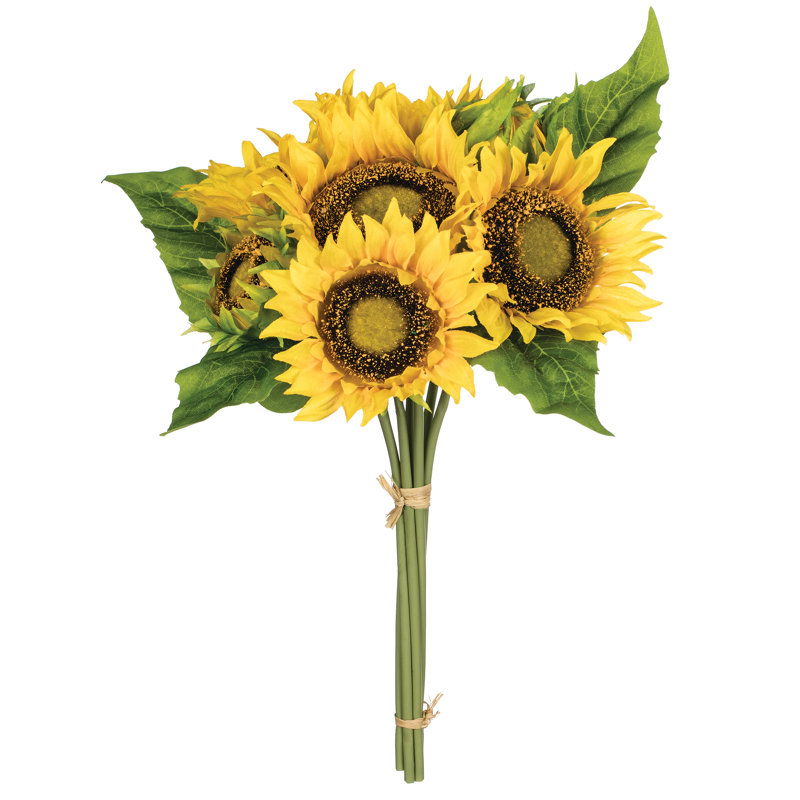 Buisson de tournesol attaché