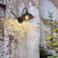 Lanterne murale Atiye Farmhouse-98834254