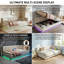 EU & UK Single Ottoman Daybed, Velvet Upholstered Sofa Bed with RGB LED Lights & USB/Type-C Charging, Grey/Cream-1647653465-1649838259