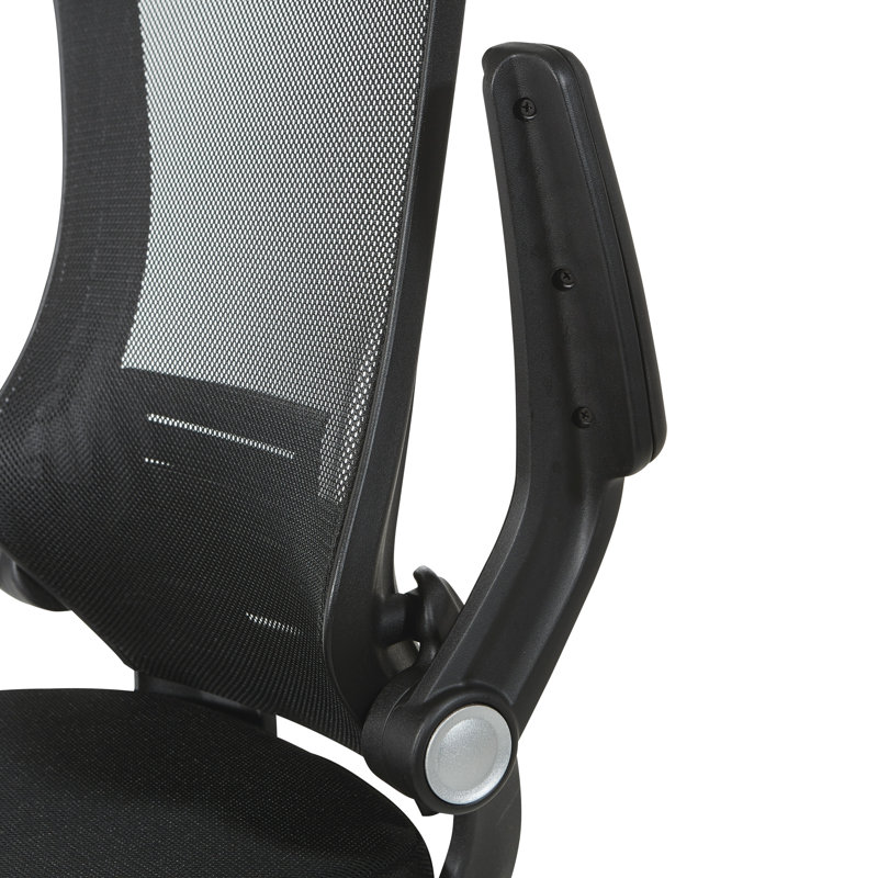 Black Mesh Executive Office Chair with Lumbar Support