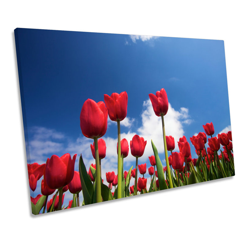Tulip Flowers Sky Floral - Wrapped Canvas Art Prints, 50.8cm H x 76.2cm W