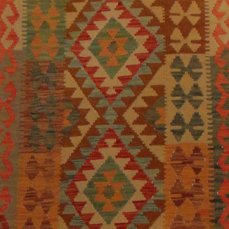 Azpeitia Wool Southwestern Indoor Rug