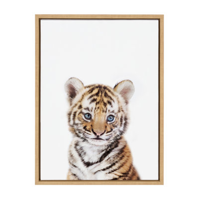 «Baby Tiger Portrait» par Amy Peterson, reproduction d'art sur toile encadrée