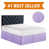 Light Purple