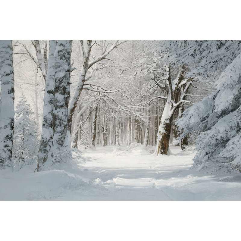 Hiver, pin, paysage, toile tendue, art mural, 16 po x 24 po