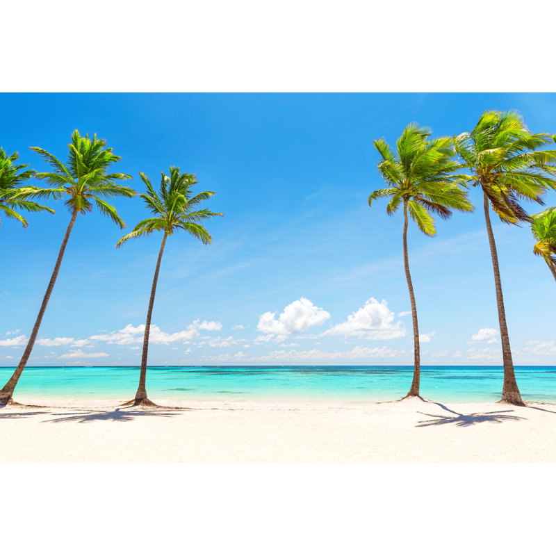 Cocotiers - Photographie sur toile tendue, H 20 po x l 30 po
