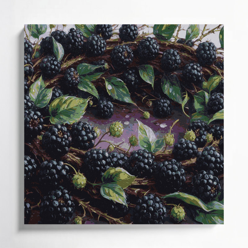 Fruit Raspberry Black Purple Canvas Wall Art, 12" H x 12" W
