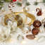 Shatterproof Holiday Shaped Ornament-144739403