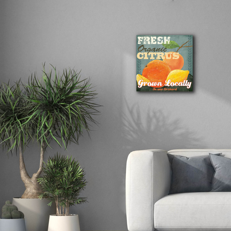 Toile épique Graffiti «Citrus 2» par Fiona Stokes-Gilbert, art mural 18 po x 18 po, H 18 po x l 18 po