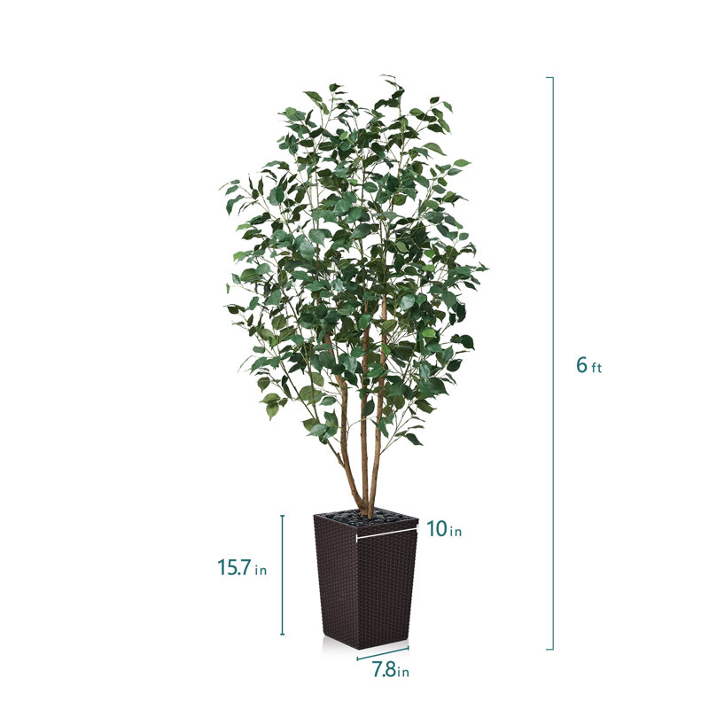 Adcock UV Protected Artificial Ficus Tree with Decorative Base, Faux Ficus Plant with Natural Trunk, 72" H x 24" W x 24" D