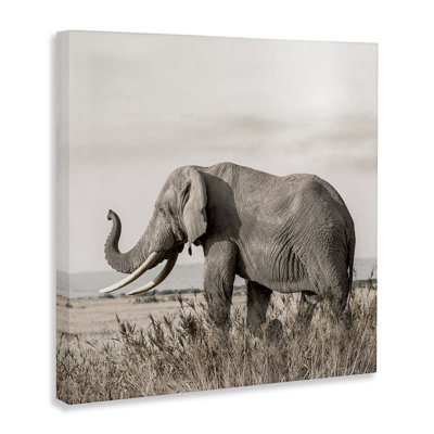 Art mural sur toile Serene Elephant in Nature, design par Danita Delimont