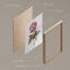 Merry Christmas Candy Cane Presents Tree - ensemble de 4 reproductions de cadres photo simples-97770230-97770233