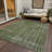 Emberith Green Washable Indoor-Outdoor Rug - LOOMLAN-860662800