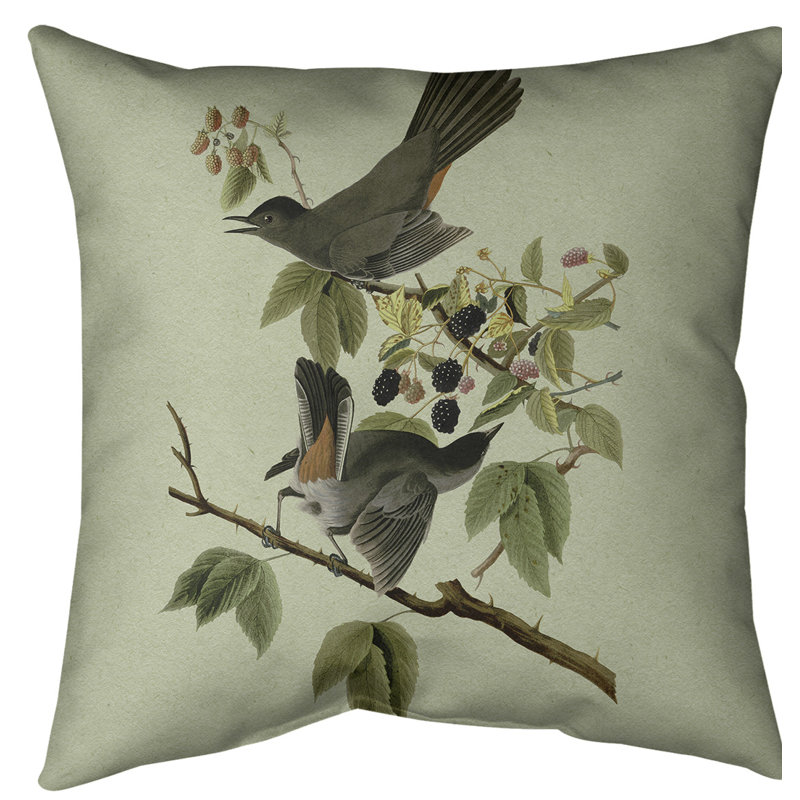 Housse de coussin en fausse oiseau pour chat, 20 po x 20 po, Vert