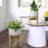 Tierney Pot Planter-1086492970-1087343025