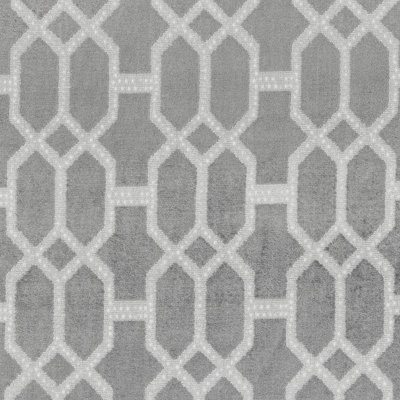 Exclusive Prints and Wovens Fabric